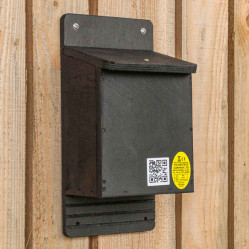 Category image for Bat Boxes
